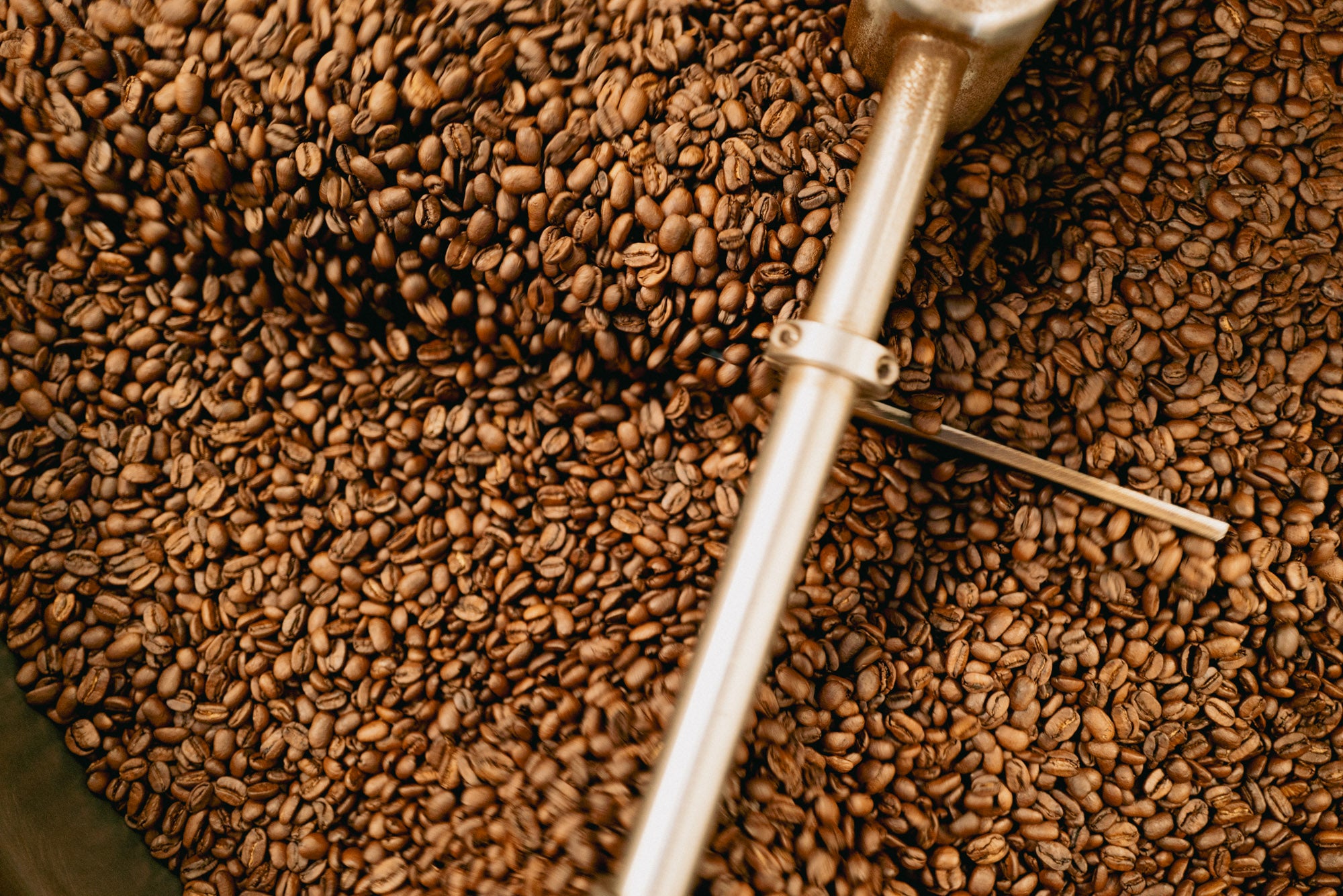 Alan Janoyan and Arthur Sohrabian, co-founders of Unincorporated Coffee Roasters, Altadena CA